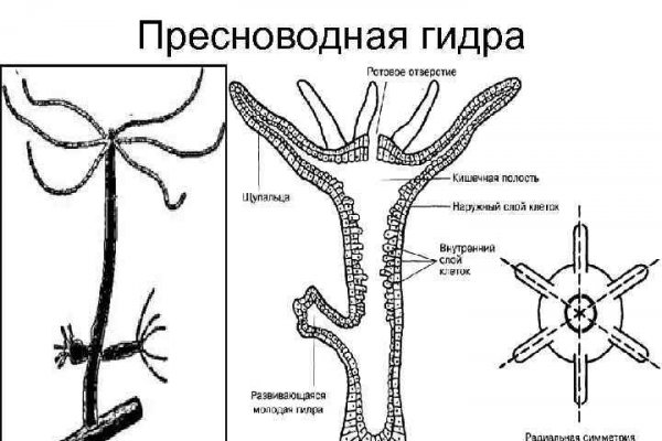 Кракен ссылка зеркало