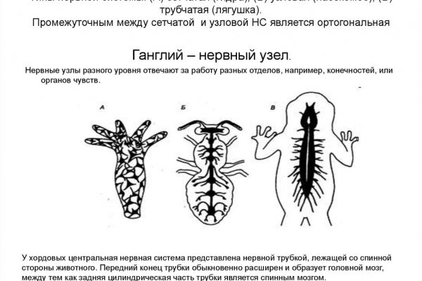 Оригинальный сайт кракен